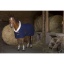 equitheme-teddy-polar-fleece-sheet.jpg
