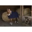 equitheme-teddy-wool-rug.jpg