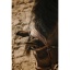 eric-thomas-crown-bridle (1).jpg
