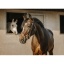 eric-thomas-crown-bridle.jpg