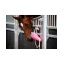 horse_toys_4_round_carrot..jpg