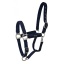 lami-cell-aurora-headcollar (1).jpg