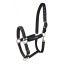 lami-cell-aurora-headcollar (2).jpg