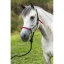 norton-fun-colour-ethological-headcollar-lead-rope.jpg