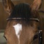 norton-pro-clincher-bridle (1).jpg
