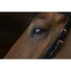 norton-pro-clincher-bridle (2).jpg