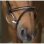 norton-pro-clincher-bridle.jpg