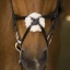 norton-pro-crossed-noseband-bridle (1).jpg
