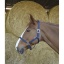 riding-world-headcollar.jpg