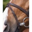 riding-world-muserolle-combinee-bridle (1).jpg