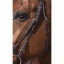 riding-world-muserolle-combinee-bridle (2).jpg