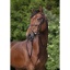 riding-world-muserolle-croisee-bridle.jpg